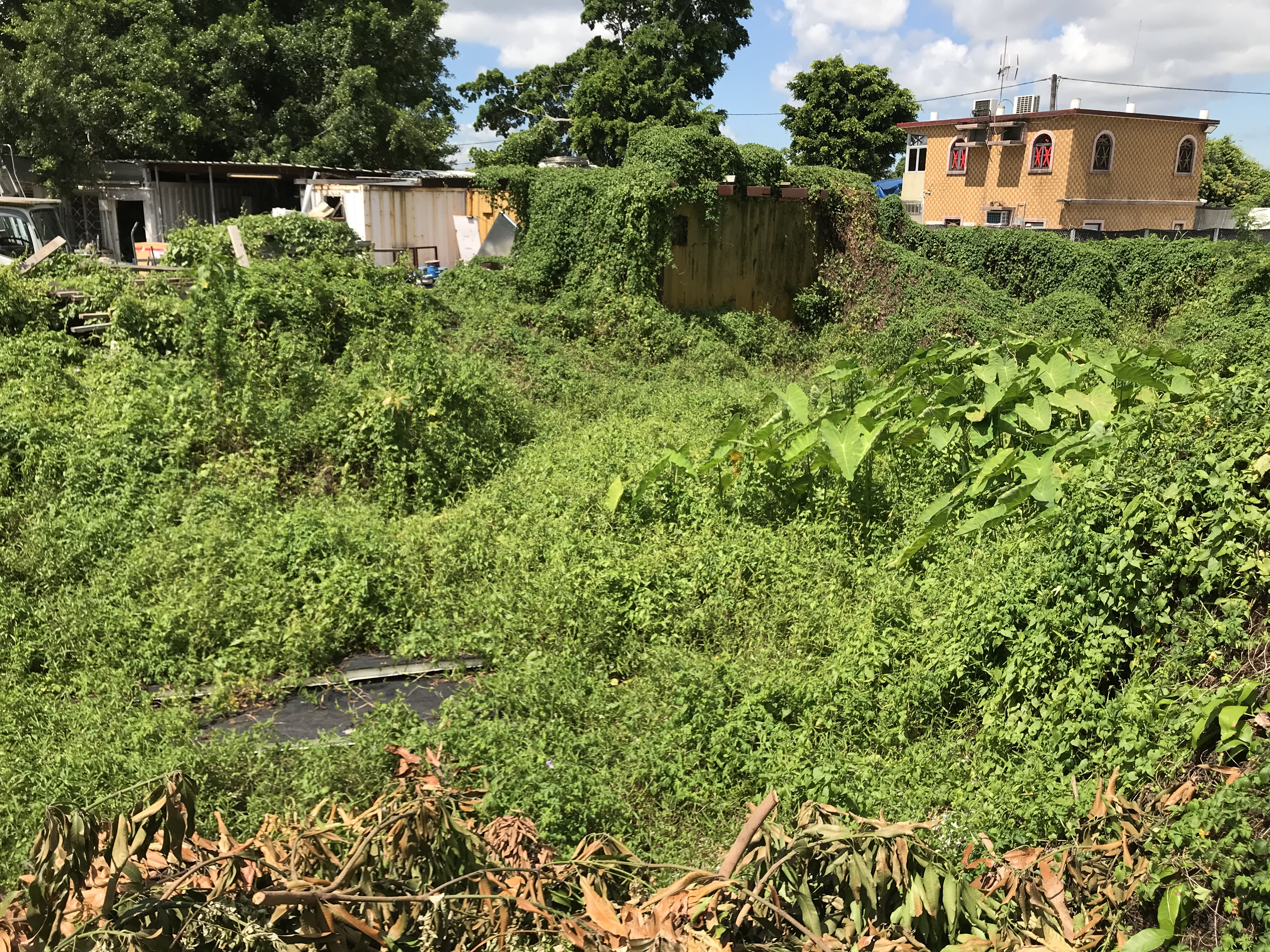 Land & Engineering Survey